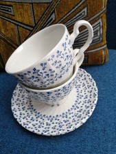 Royal Victoria Blue & White Rose Bouquet Cup, Saucer X2 Pretty Useable