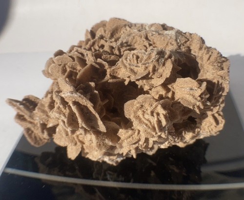 Large natural desert - natural, rose