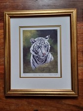 White Tiger Cub by Stephen Gayford. Limited edition signed print.