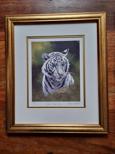 White tiger cub stephen - white, by