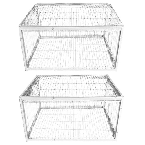 Pigeon bird cage - bird, habitat
