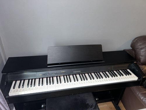 Casio celviano piano - casio,