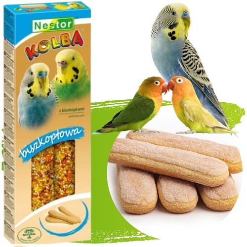 Parakeets sticks biscuits bird - sticks,