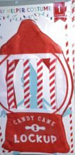 Elf Holiday Helper Outfit