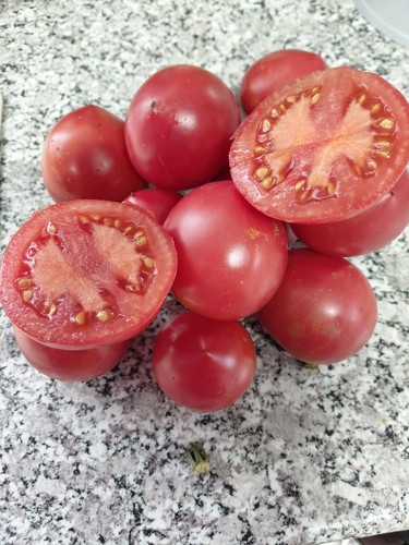 Tomato nastenka siberian - nastenka,,
