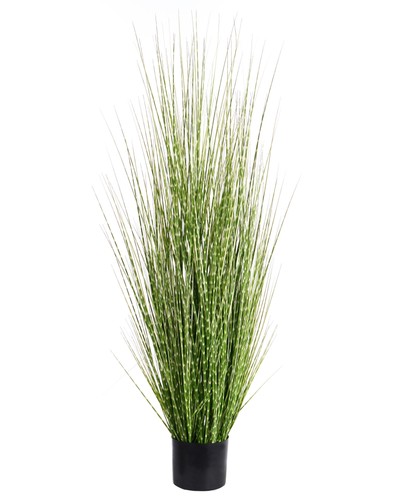 Artificial plant zebra grass - zebra,