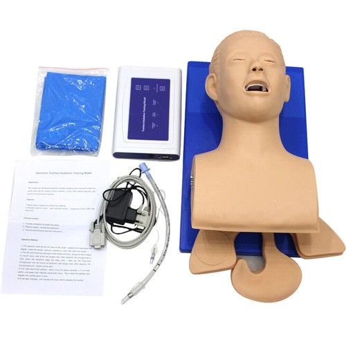 Intubation manikin study - intubation,
