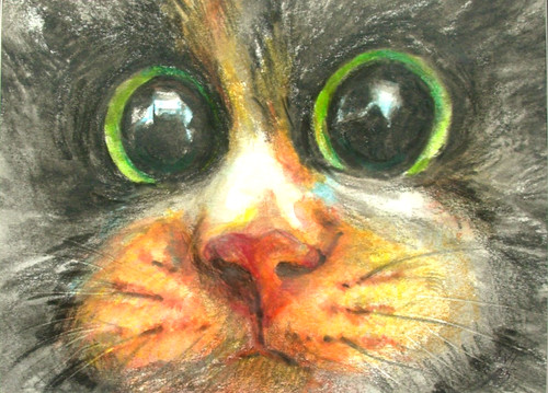 Surprising cat mounted - cat,