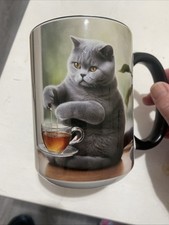 Grey British Shorthair Cat