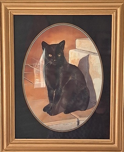 Pollyanna pickering black cat - pickering,