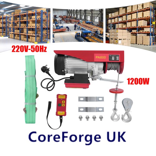 600kg electric hoist with - 600kg,