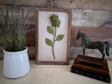 Botanic Rustic Limewash Framed