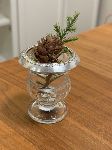 Sterling silver glass - sterling,