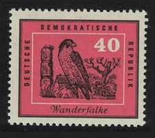 Peregrine Falcon Bird GDR 1959