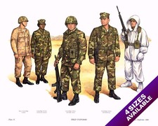 USMC UNITED STATES MARINES