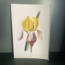 Antique / Vintage Original