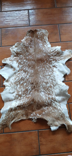 Genuine goat hide - goat,