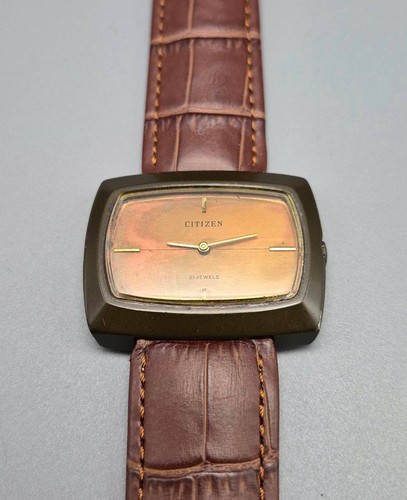 Citizen case vintage april - citizen,