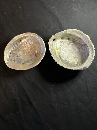 Two large mother pearl - of,