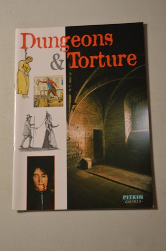Pitkin guide dungeons - guide,
