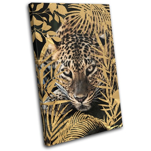Leopard tropical big cat - leopard,