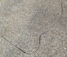 Classic Car Van thin Cable 56