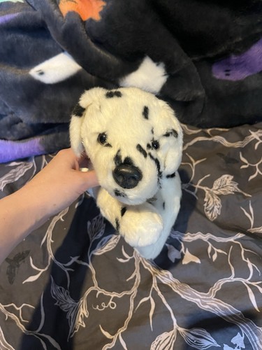 Bingo dalmatian keel - dalmatian,