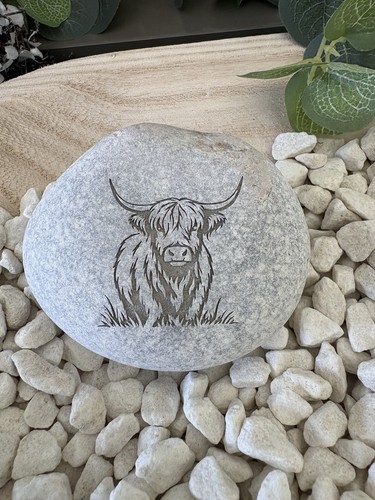 Highland cow pebble - cow,