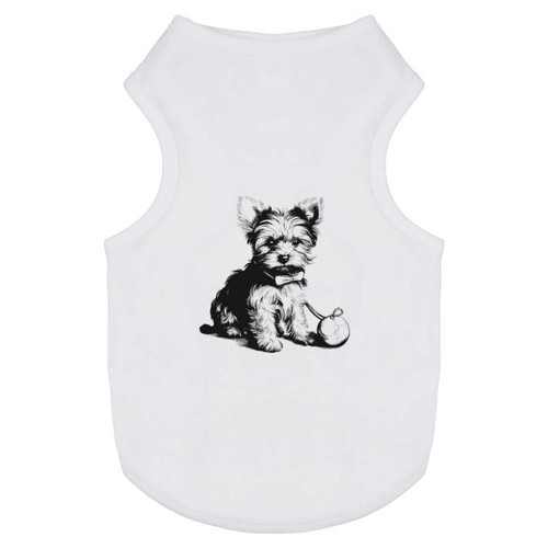 Yorkie puppy with toy - 'yorkie,