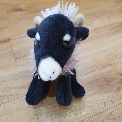 Faithful friends goat - friends, sheep