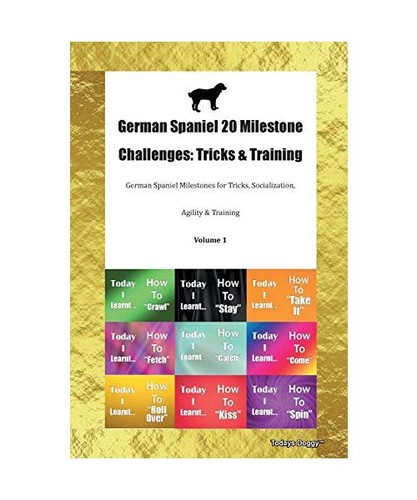 German spaniel milestone - spaniel, 20