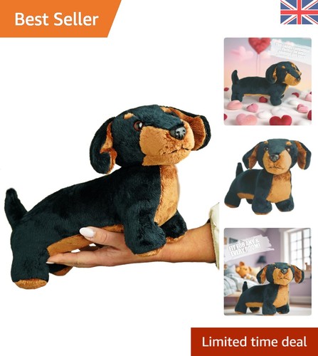 Adorable 30cm dachshund plush - adorable,