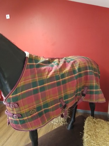 Colourful mark todd stable rug - colourful,
