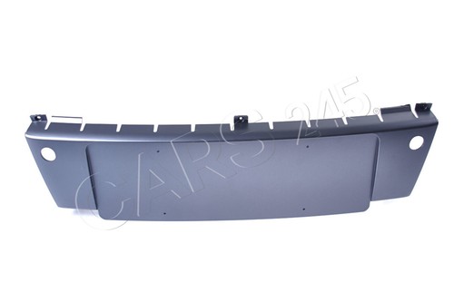 Front license hole - license, frame