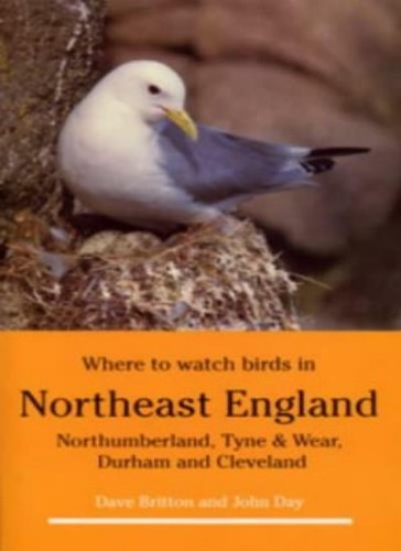 Where watch birds in - where,