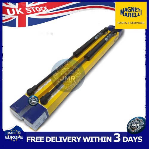 Tailgate gas struts - 2x,