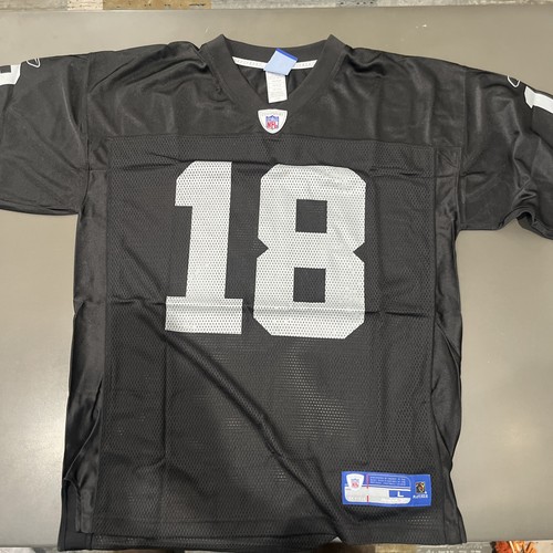 Randy moss oakland raiders - moss,
