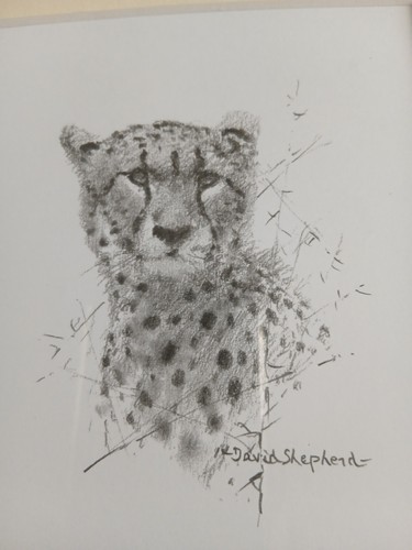 David shepherd pencil - david,