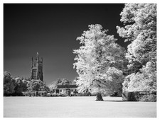 Converted Infrared IR 850nm Panasonic DMC-GX1 M43 Camera  103