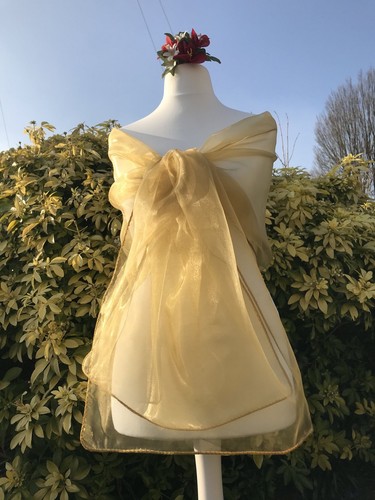 Light gold organza shawl - light,