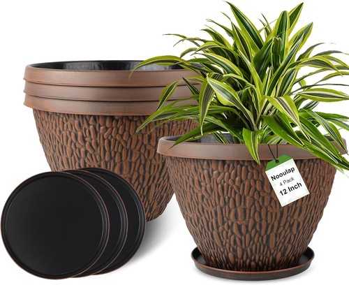 Pack inch pots for plants - pack,