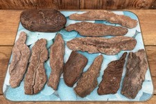 Unique Driftwood Bark Pieces