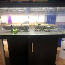 aquarium fish tank with stand