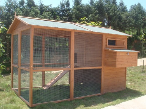Chicken coop house - coop, upto