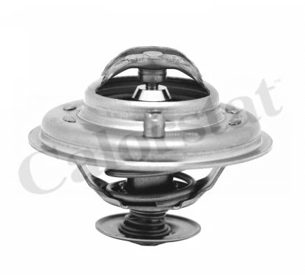 Thermostat coolant fits - coolant, bmw
