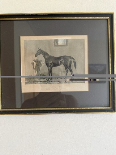 Antique voltigeur winner - winner, of