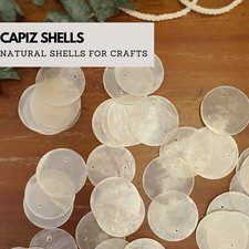 Natural Capiz Shells w/ 2