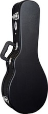 Viking F STYLE MANDOLIN CASE