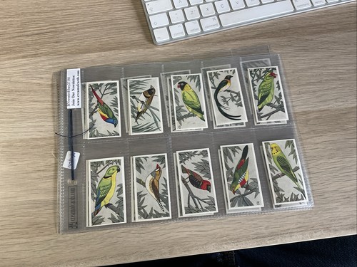 Barratt cards full - &,