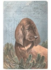 Antique Postcard Early 1900s